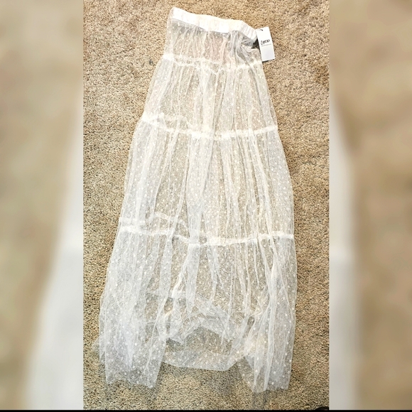 Sheer Skirt - Picture 1 of 3